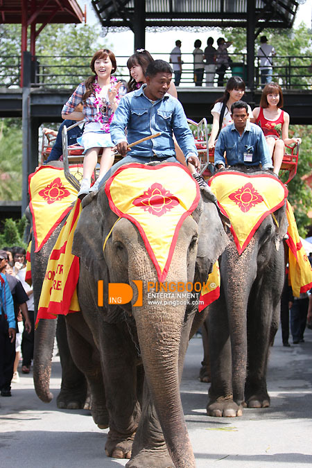 태국 파타야에서 코끼리 투어사진